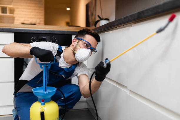 Best Affordable Pest Control Services  in St John, MO