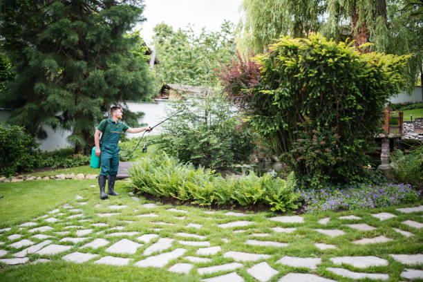 Best Pest Removal Services  in St John, MO