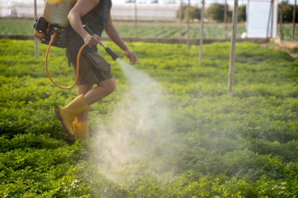 Best Exterminator Services  in St John, MO