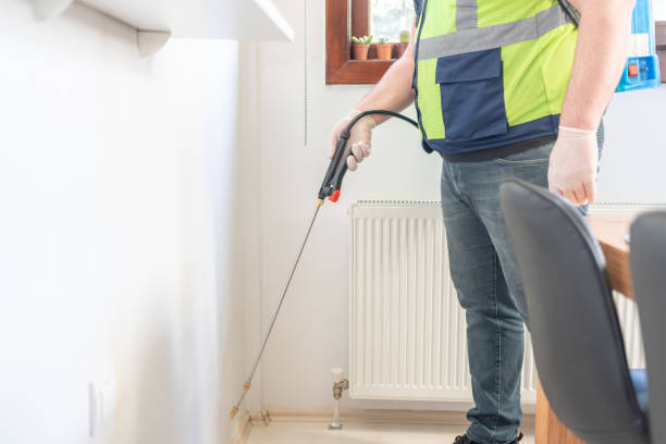 Best Wasp Removal Services  in St John, MO