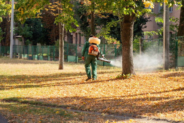 Best Termite Control Services  in St John, MO